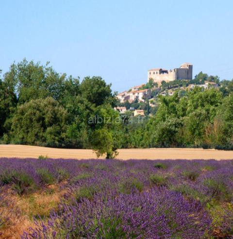 photo de Les Chênes Blancs