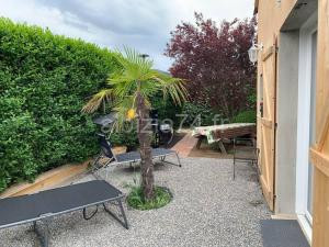 Appartement avec jardin privé Gréoux les Bains au bord du Verdon à Gréoux-les-Bains